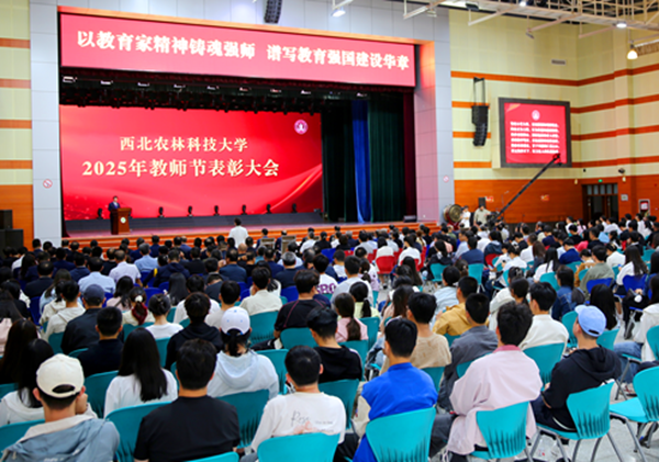 学校召开2025年教师节表彰大会